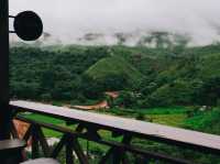 คาเฟ่นี้สวยที่สุดหน้าฝน🌿