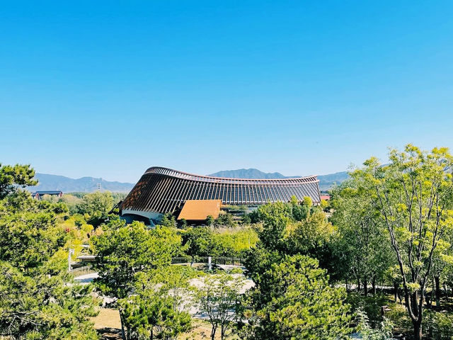 Beijing Expo Park