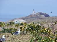 Channel Islands National Park