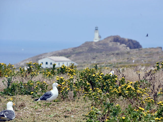 Channel Islands National Park
