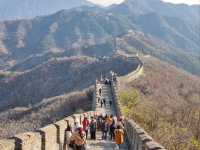 Grandeur on the Wall: Mutianyu's Enduring Majesty 