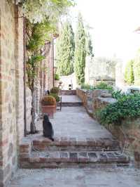トスカーナのアグリツーリズモ　agriturismo poggio il castellare