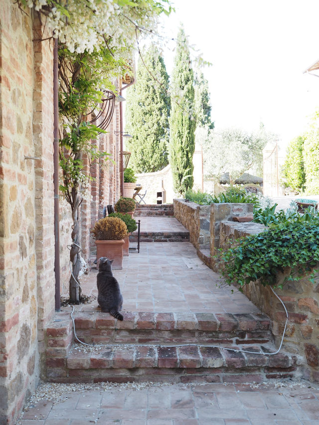 トスカーナのアグリツーリズモ　agriturismo poggio il castellare