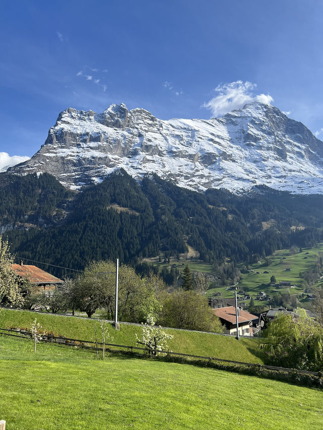 【🇨🇭瑞士自駕一天全搞定攻略】盧塞恩→因特拉肯→格林德瓦：美景比坐少女峰火車更壯觀！🚗🏔️  