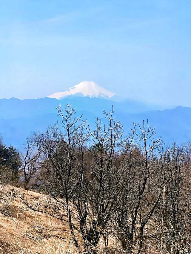 【保存版】関東日帰り登山⛰️おすすめ6選