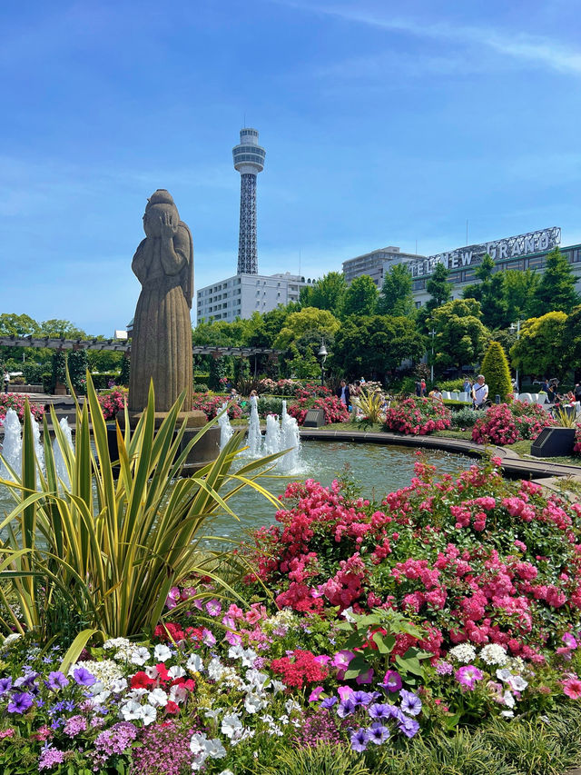 【横浜】今だけ!!ローズガーデンに遊びに行こう!!