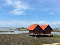 Through the Wetlands:Thailand's Iconic Ekacai Bridge