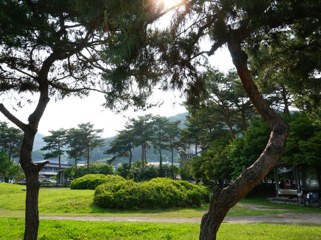 백제 웅진의 숨결 따라, 공주 반죽동 당간지주 산책🐾