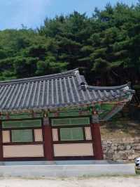 고요함에 기대어