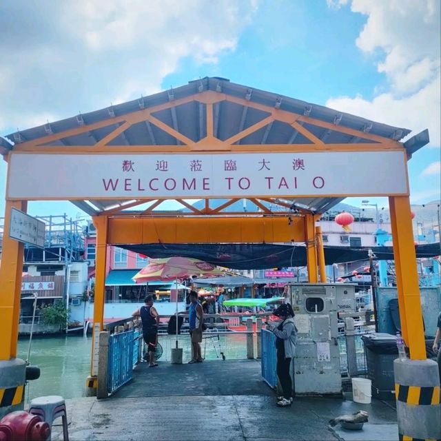 Old Fishing Village Vibes & Snack Heaven