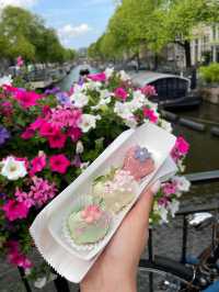 Amsterdam in Springtime: A City in Full Bloom