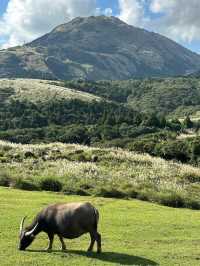 A worthy national park in Taipei