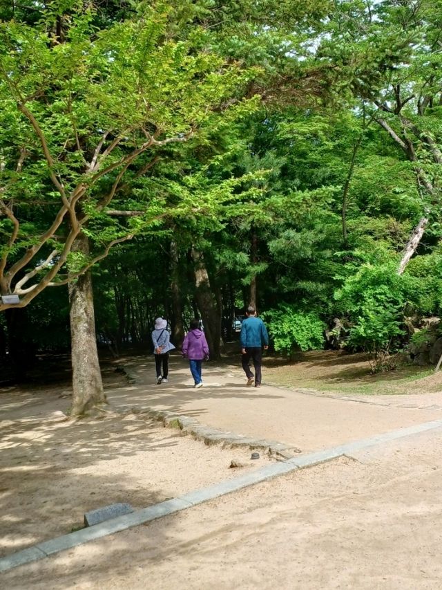 아이도 감탄하는 문화유산의 품격