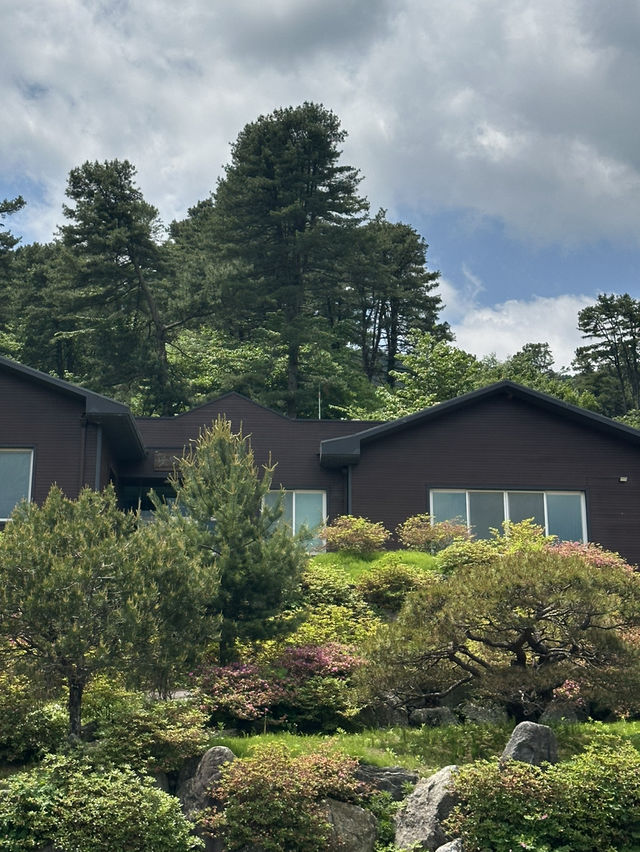 🧘‍♂️자연과 함께 심호흡하기 좋은 🌳 가평 자연 휴양림 봄여행지 추천 🌼