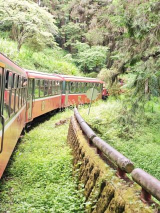 🚂 All Aboard the Red Train: Discovering Alishan Forest's Timeless Charm 🌲🍂