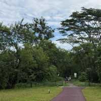 🚶‍♂️🚴‍♀️ Rail Corridor — A Super Friendly Weekend Hiking & Cycling Route!