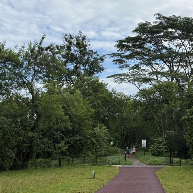 🚶‍♂️🚴‍♀️ Rail Corridor — A Super Friendly Weekend Hiking & Cycling Route!