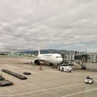 【ソウル】【釜山】これは凄い！日本人専用レーンが登場✈️