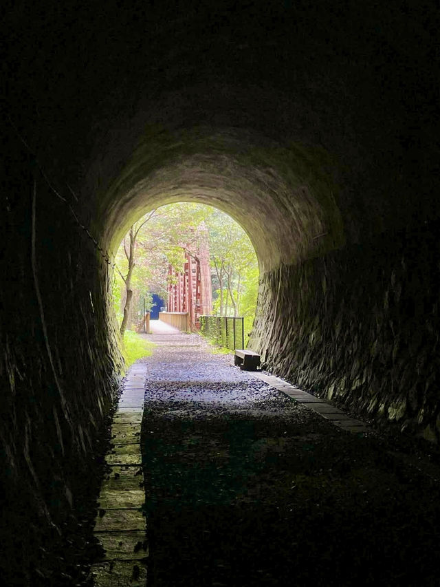 A Day Exploring the Old Fukuchiyama Line Trail 🚂🌿