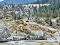Yellowstone National Park – Earth’s Wild Heartbeat