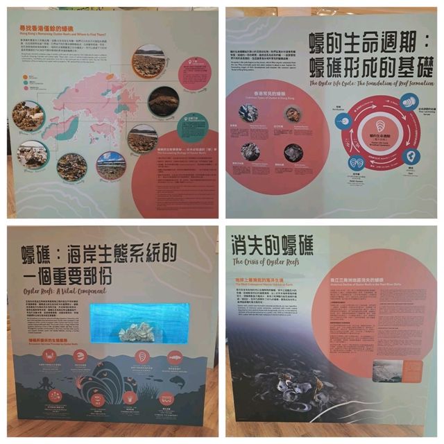 滄海遺礁展覽參觀的個人感受