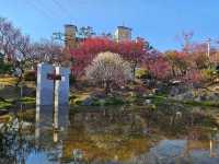 Blossoms, Bites & Chill Vibes at Gwangyang Maehwa Village