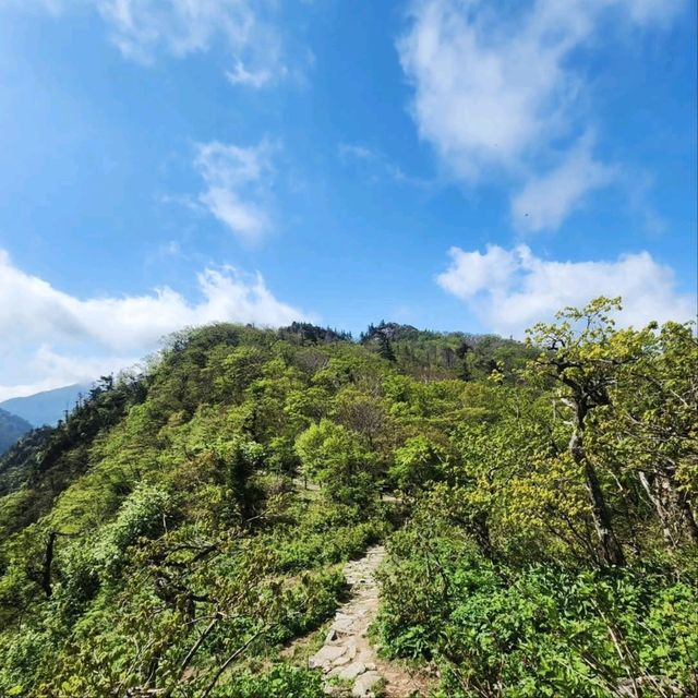 A Laid-Back Day at Seoraksan National Park