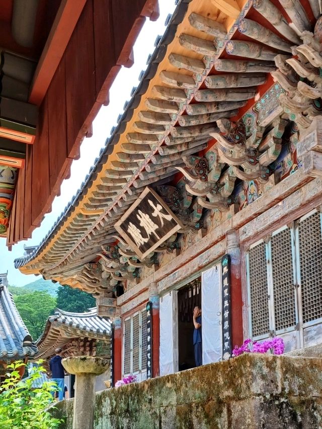 🌿 주말 가족 나들이에 딱! 고성 연화산 옥천사