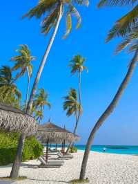 🌊 Waldorf Astoria Maldives Ithaafushi – Oceanfront Luxury Redefined 🌴✨