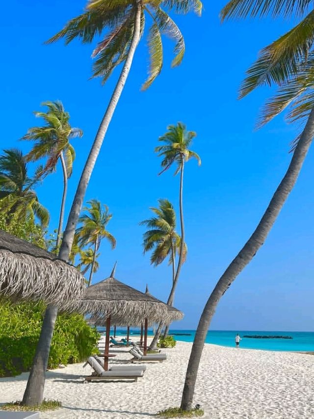 🌊 Waldorf Astoria Maldives Ithaafushi – Oceanfront Luxury Redefined 🌴✨