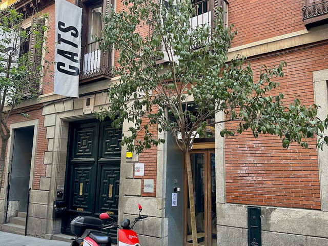 Cats Hostel Madrid Sol
