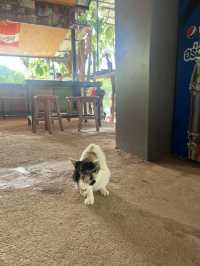 คลองหรูด กระบี่