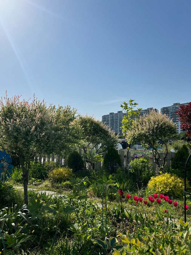 🌳충남 아산 여행 코스 카페플라워돔 장미 포토존