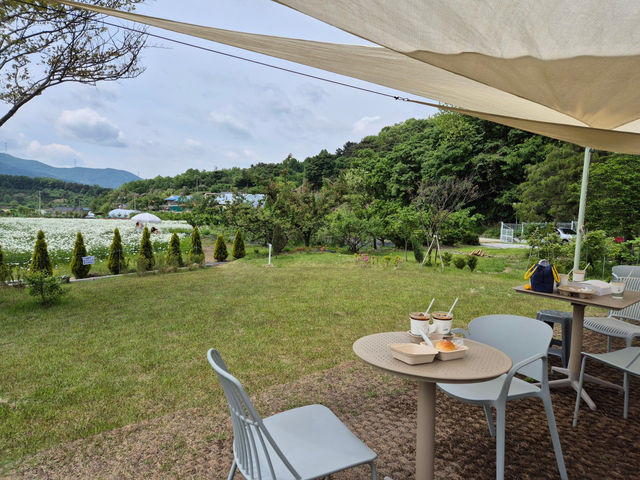 🥳아산 샤스타데이지 카페 카페지새울