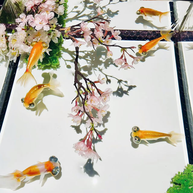 Swimming in Light: Tokyo’s Mesmerizing Art Aquarium in Ginza 🇯🇵