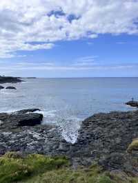 📍 Kiama 一日遊攻略｜從悉尼出發的海岸風景線