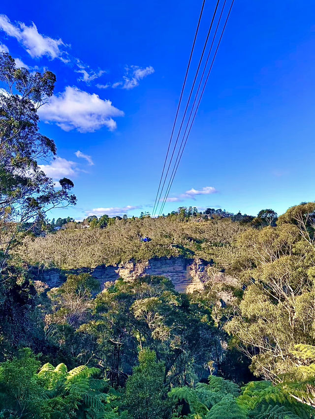 ออสเตรเลีย🇦🇺