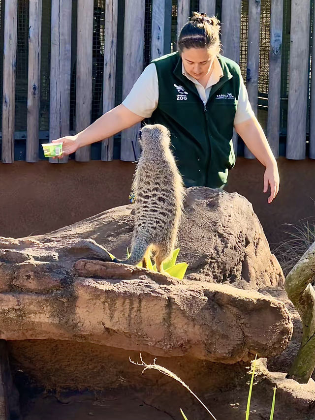 ออสเตรเลีย🇦🇺