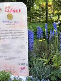 A Serene Urban Oasis – Taipingqiao Park, Shanghai