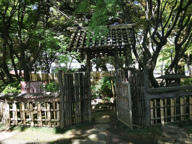 橫濱🇯🇵彼我庭園