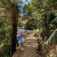 Karamea & Oparara Basin