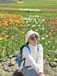 Sapporo … Hill of Buddha & Takino suzuran 