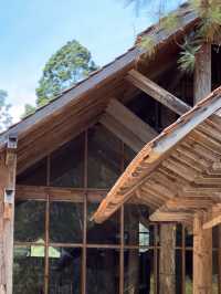 A Cool Escape: From KL Heat to Pineyard Breeze
