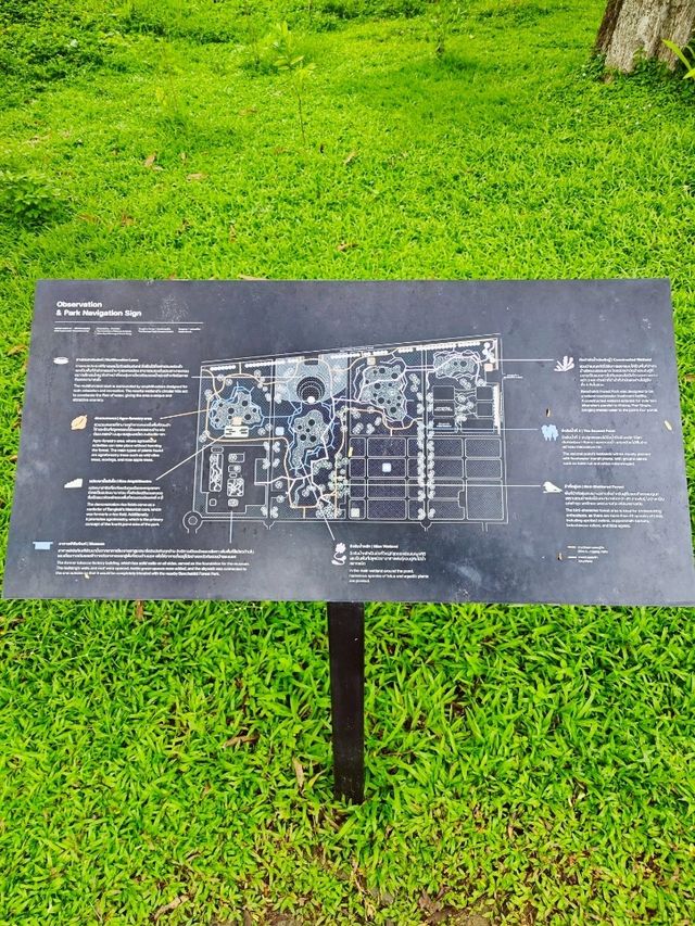 Serenity in the city: A stroll through Benchakiti Park, Bangkok
