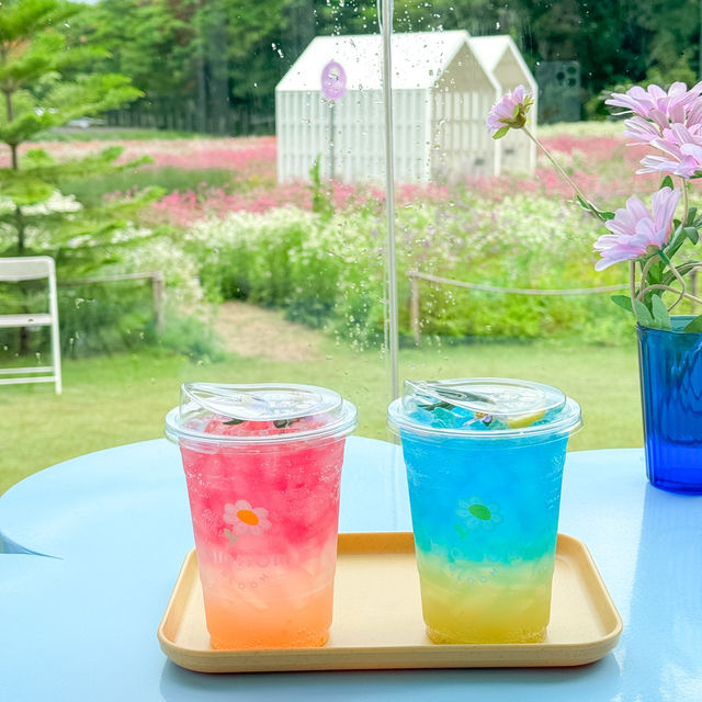 🪻🌸Cafe ดอกไม้เขาใหญ่หน้าฝน 🌸🪻