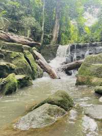 เกาะสวรรค์แดนสมุย