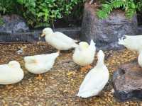 ตามธรรมชาติ Cafe' and Farm