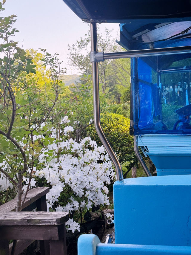 남이섬 하루 코스, 걷고 찍고 쉬는 자연 힐링여행