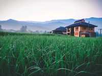 🌾 โรงเรียนชาวนา จ.น่าน 🌾
