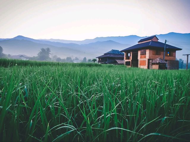 🌾 โรงเรียนชาวนา จ.น่าน 🌾